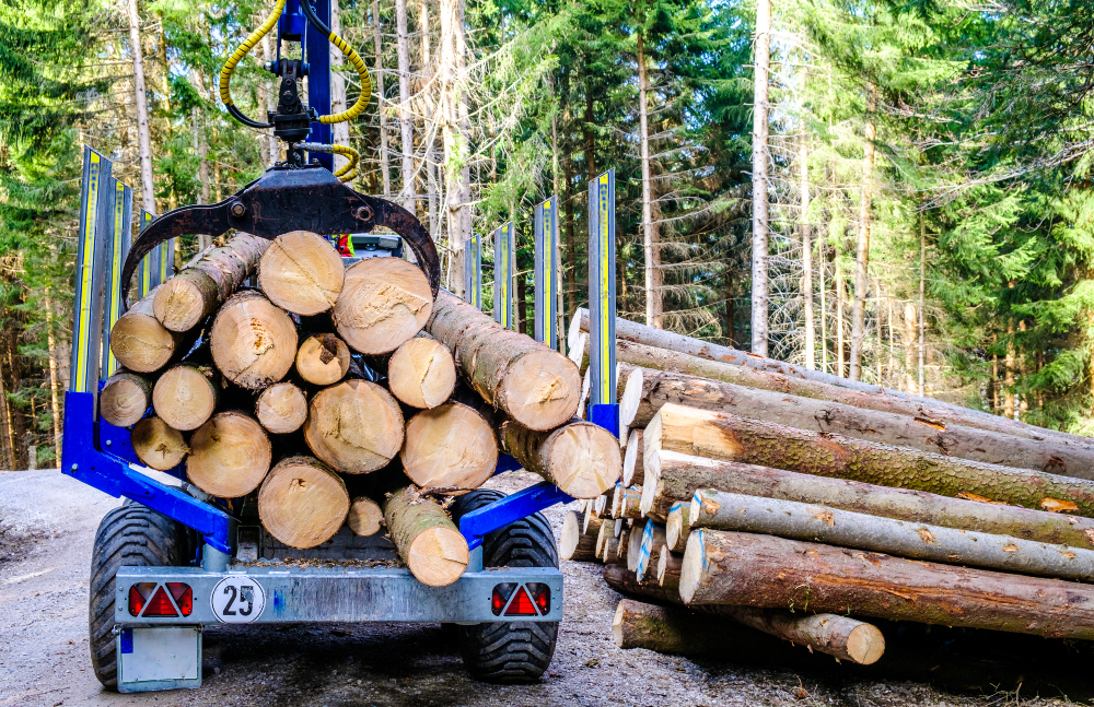 Improve Property Safety with Efficient Stump Removal Services, Korumburra VIC